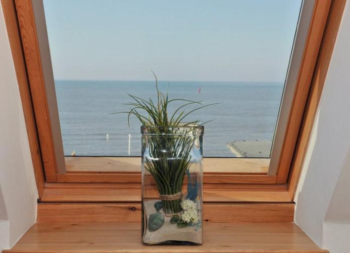 Seeblume Wangerooge Kültér fotó
